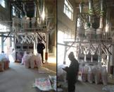 河南新乡50吨玉米加工设备安装案例